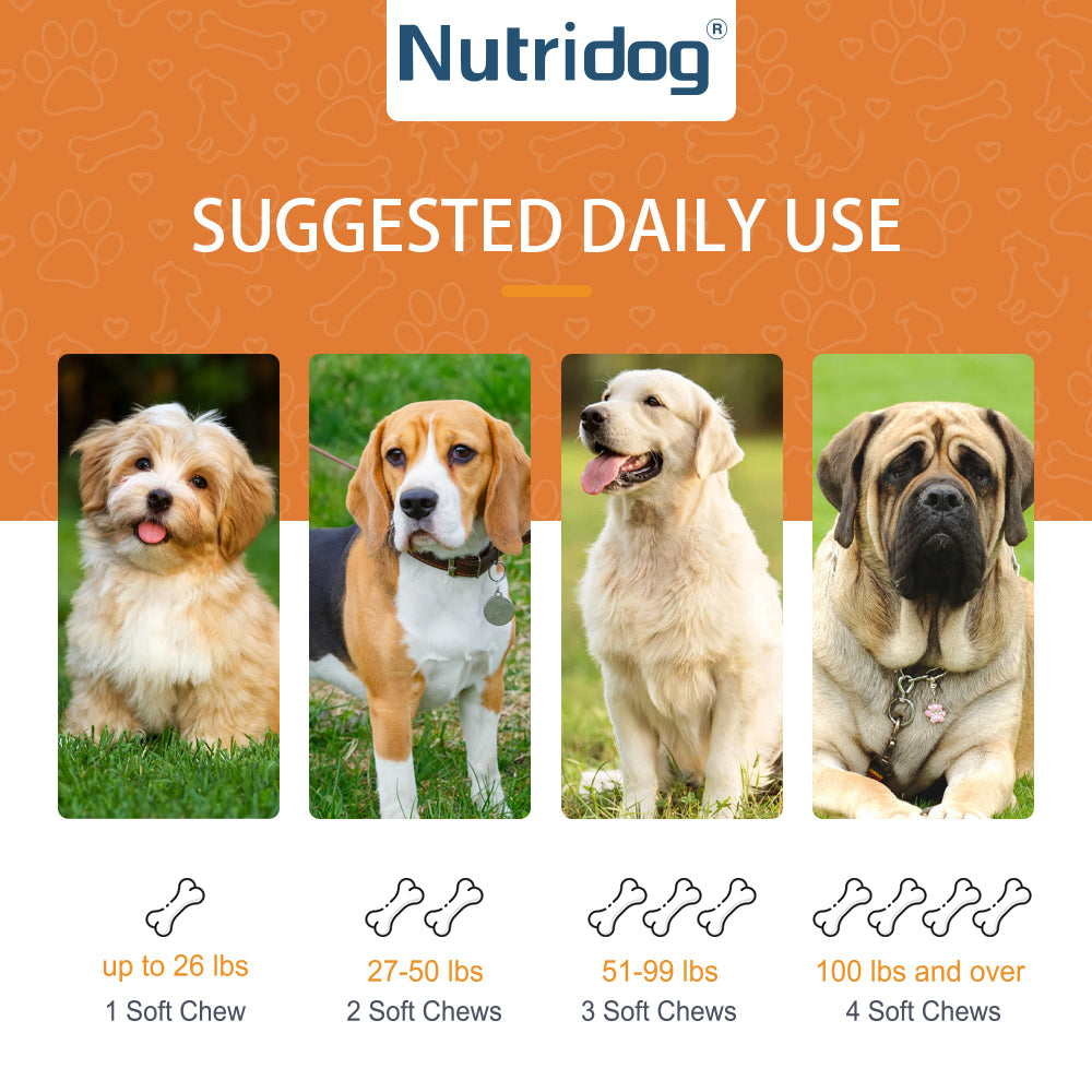 Nutridog Omega Skin & Coat Soft Chew Dog Supplements