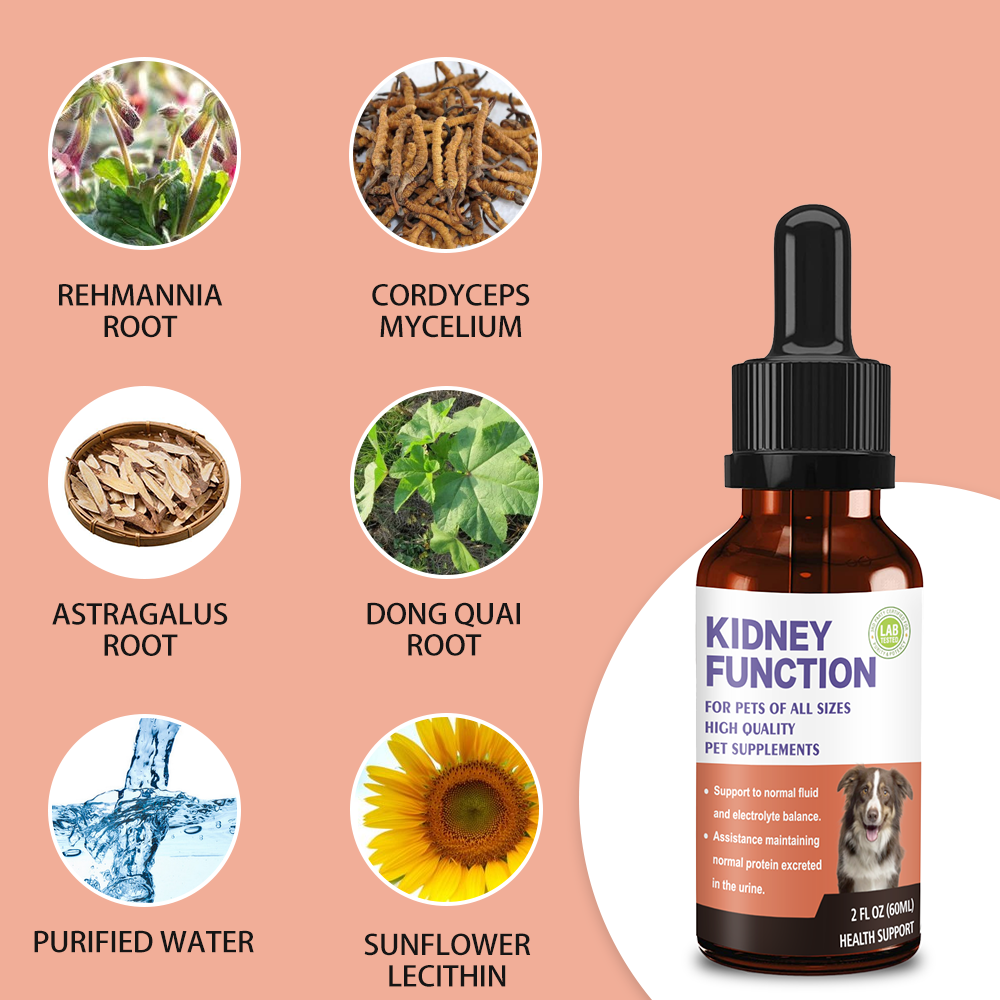 Pet Kidney Function Support Drops - Natural Kidney Health Supplement for Dogs & Cats of All Sizes, Supports Normal Fluid & Electrolyte Balance, Maintains Healthy Protein Excretion in Urine (2 FL OZ)
