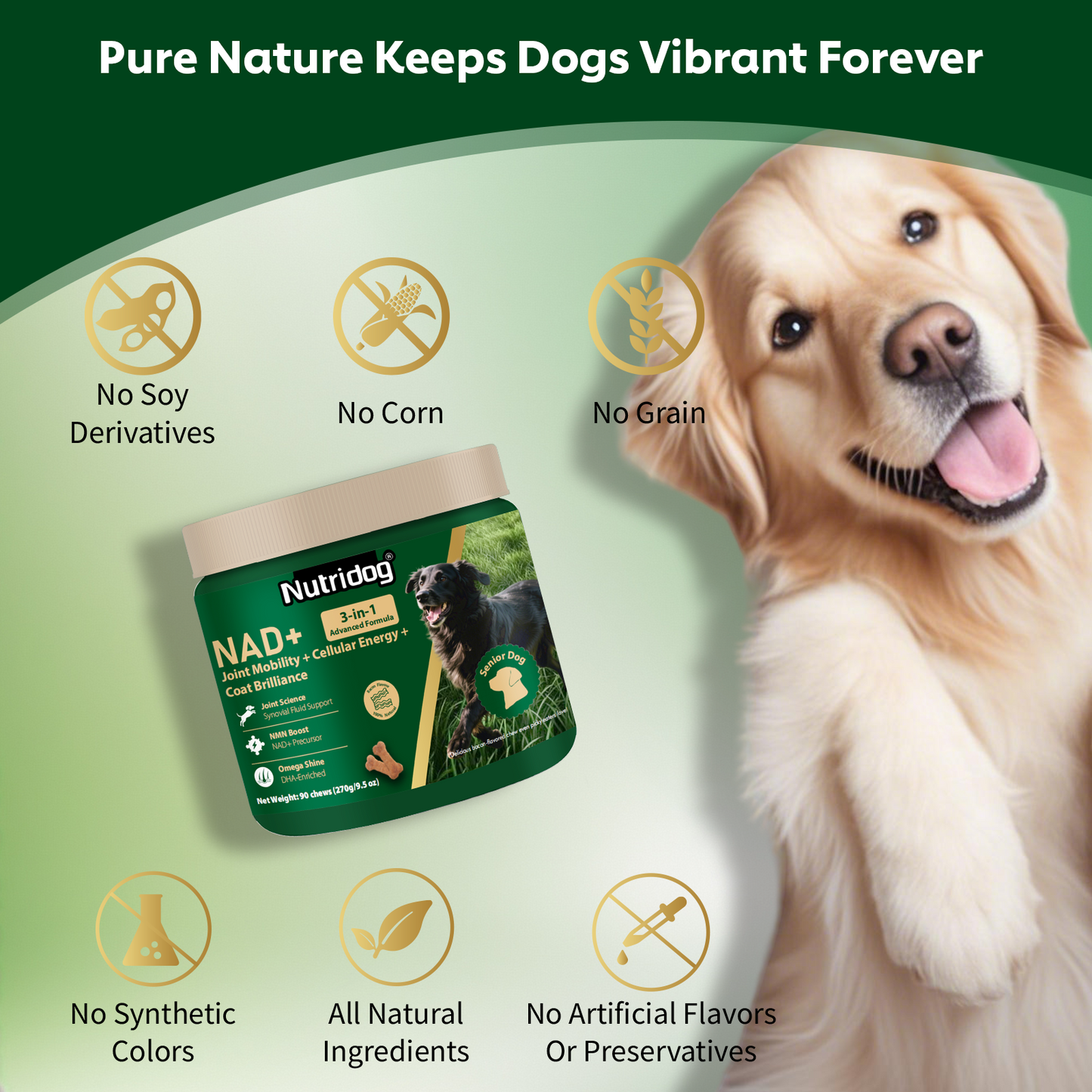 Nutridog Senior Dog Chews – NMN, Glucosamine & Omega-3 | Joint, Energy & Coat Support | 90 Soft Chews