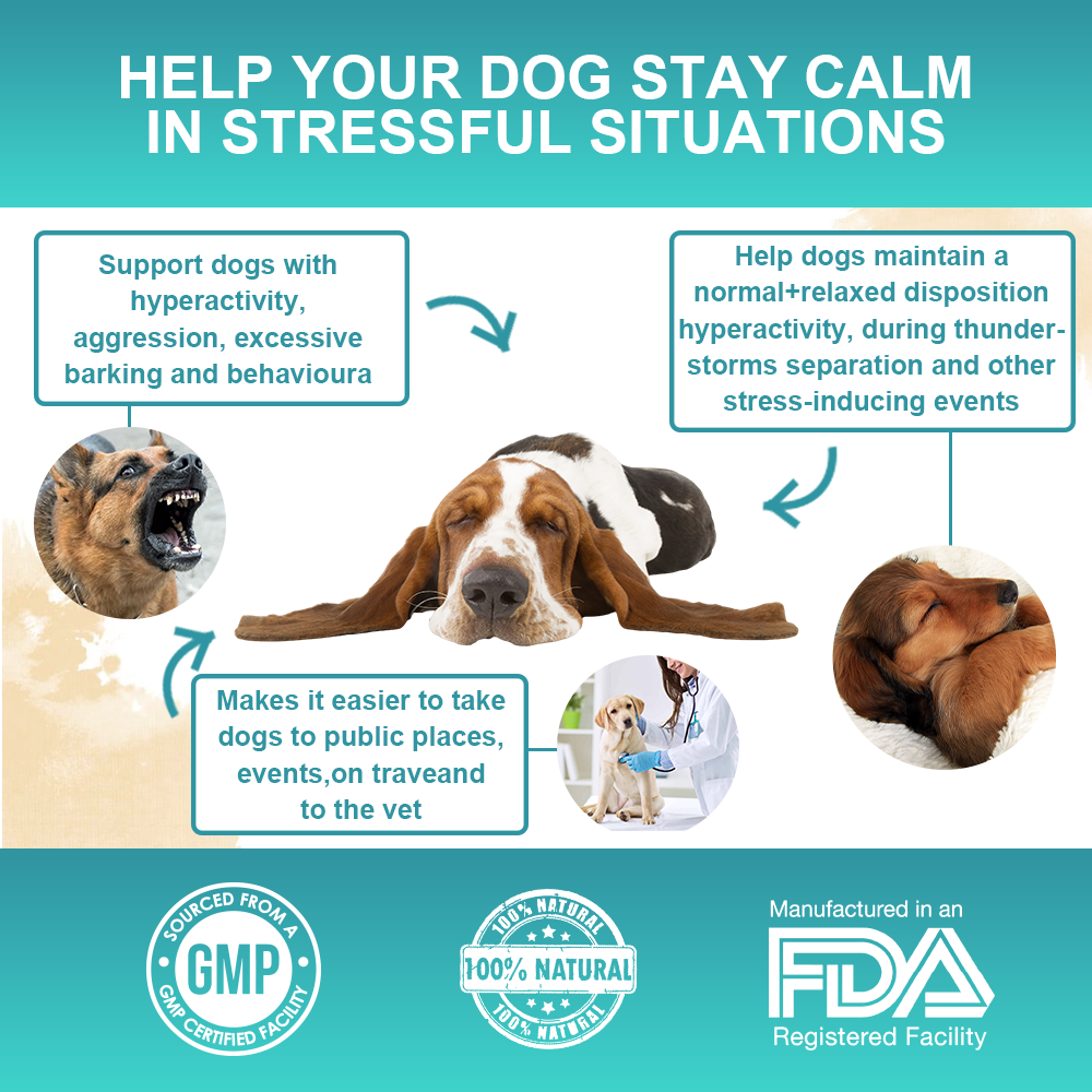 Calming Powder for Dogs - Anxiety & Stress Relief Supplement with Organic Hemp, Valerian Root - Behavioral Support, Fireworks & Travel Aid - Beef Flavor, 90g Powder