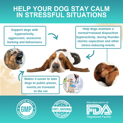 Calming Powder for Dogs - Anxiety & Stress Relief Supplement with Organic Hemp, Valerian Root - Behavioral Support, Fireworks & Travel Aid - Beef Flavor, 90g Powder