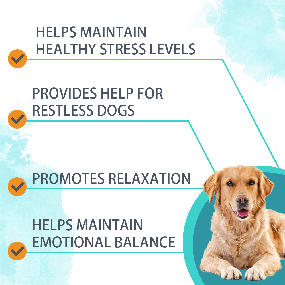 Calming Powder for Dogs - Anxiety & Stress Relief Supplement with Organic Hemp, Valerian Root - Behavioral Support, Fireworks & Travel Aid - Beef Flavor, 90g Powder