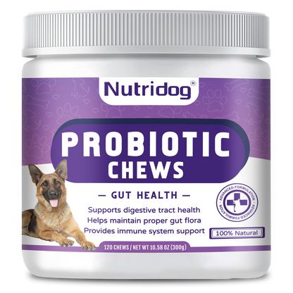 Nutridog Probiotics Chews For Dogs