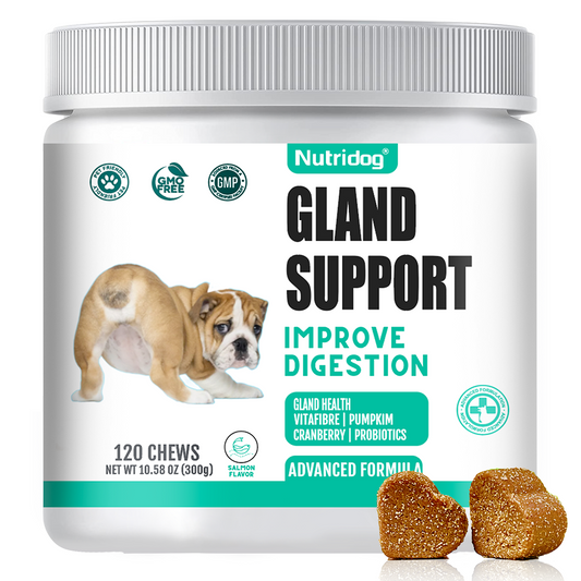 Nutridog Gland Support Chews for Dogs - Dog Bladder & Digestive Health Supplement with Pumpkin, Probiotics & Cranberry - Salmon Flavor Soft Chews to Support Anal Gland Function, Firm Stools & Gut Health (120 Chews)
