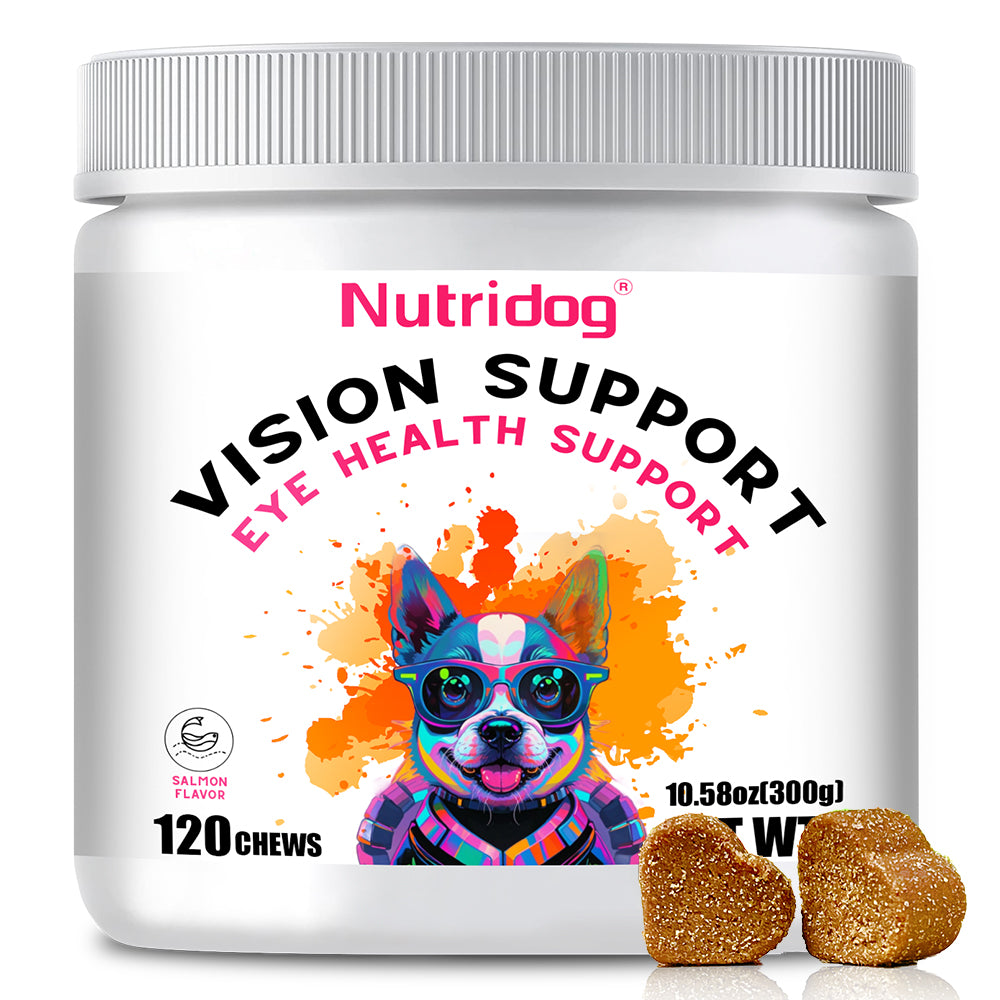 Nutridog Dog Eye Health Chews - 120 Salmon Flavor Soft Chews, Vision Support with Lutein & Bilberry, Antioxidant Protection for Puppies & Senior Dogs, Non-GMO Gluten-Free Human Grade