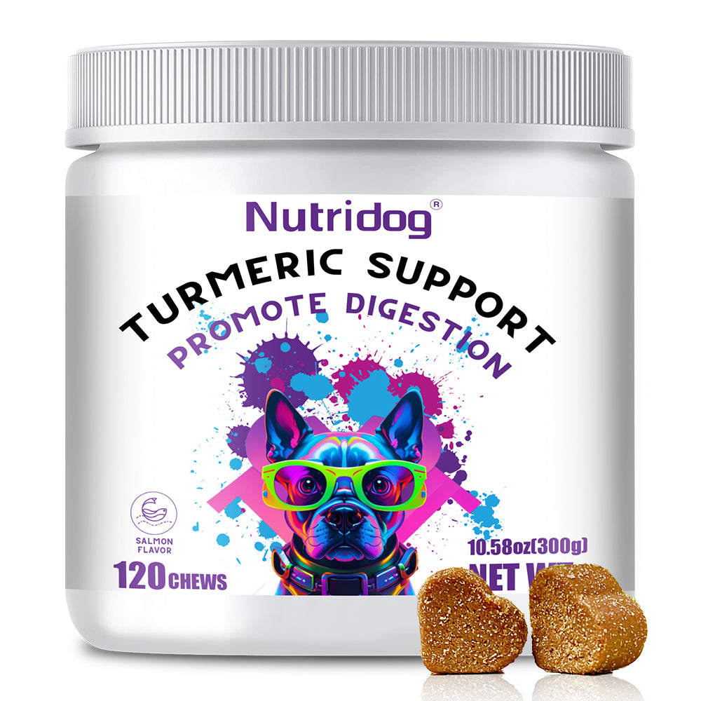 Nutridog Turmeric Chews for Dogs – Curcumin & Coconut Oil for Joint Pain & Allergy Relief | 120 Soft Chews
