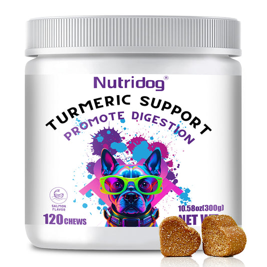Nutridog Turmeric Chews for Dogs with Curcumin & Coconut Oil Joint Pain Relief, Anti-Inflammatory Antioxidant Support, 120 Salmon-Flavored Soft Chews for Hip & Joint Mobility (120 Ct, Salmon)