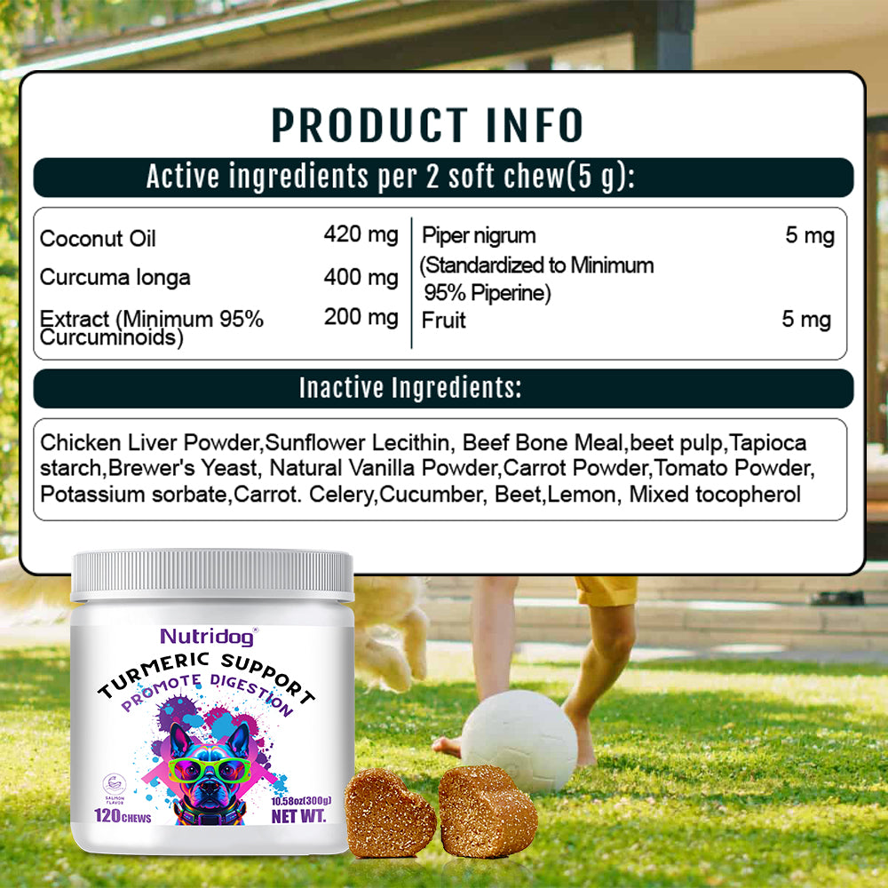 Nutridog Turmeric Chews for Dogs – Curcumin & Coconut Oil for Joint Pain & Allergy Relief | 120 Soft Chews