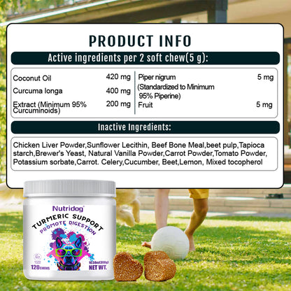 Nutridog Turmeric Chews for Dogs – Curcumin & Coconut Oil for Joint Pain & Allergy Relief | 120 Soft Chews
