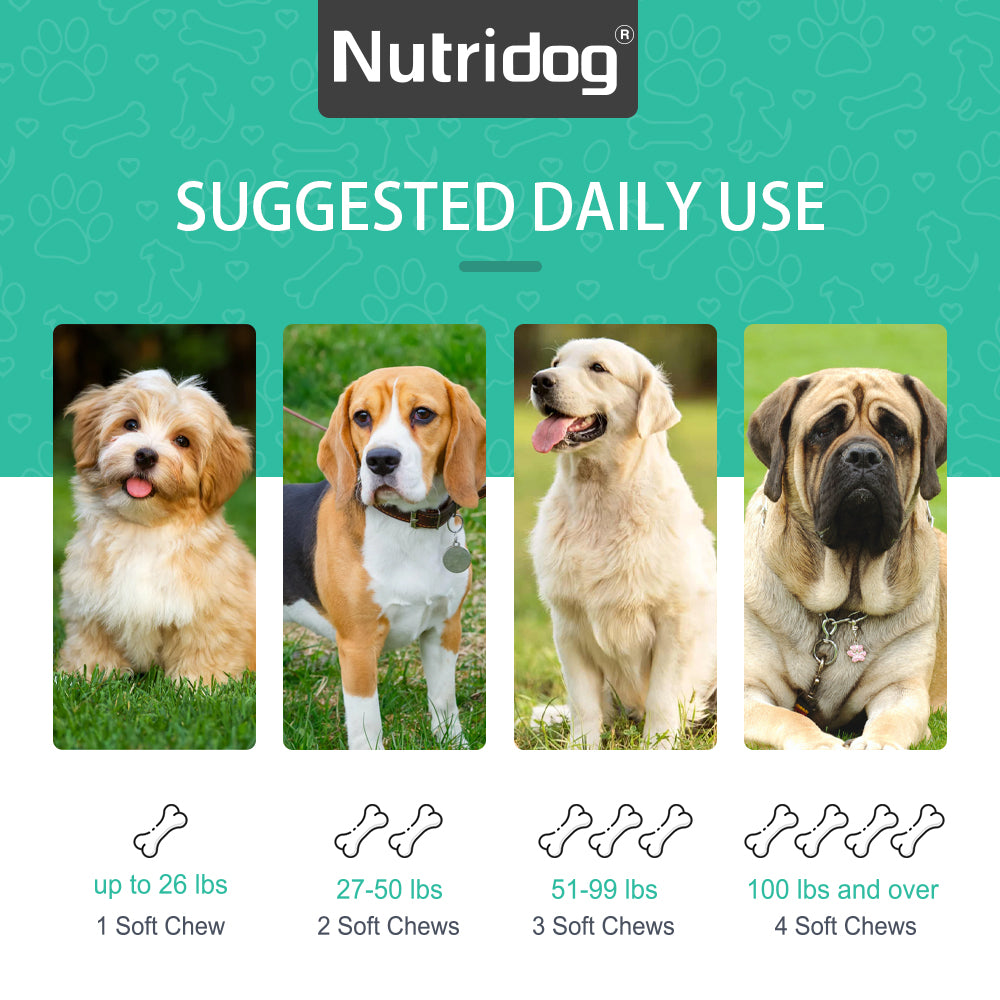 Nutridog Gland Support Chews for Dogs - Dog Bladder & Digestive Health Supplement with Pumpkin, Probiotics & Cranberry - Salmon Flavor Soft Chews to Support Anal Gland Function, Firm Stools & Gut Health (120 Chews)