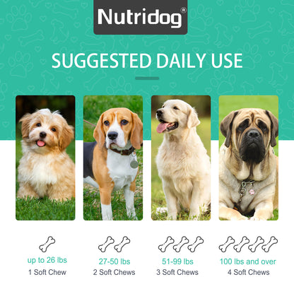 Nutridog Gland Support Chews for Dogs - Dog Bladder & Digestive Health Supplement with Pumpkin, Probiotics & Cranberry - Salmon Flavor Soft Chews to Support Anal Gland Function, Firm Stools & Gut Health (120 Chews)