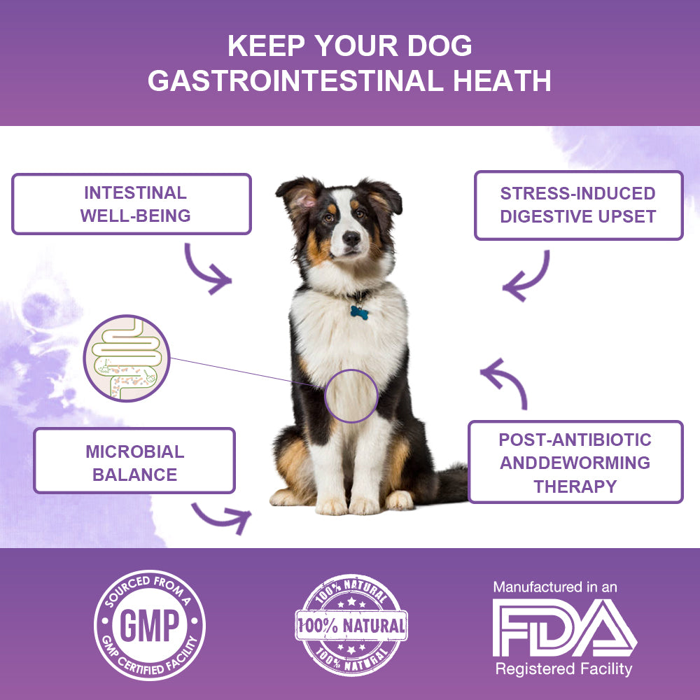 Probiotics for Dogs Powder, Duck Flavor - Supports Gut Health, Digestive Balance & Seasonal Allergy Relief & Itchy Skin Relief - Prebiotic & Probiotic Powder (90g) (Duck)