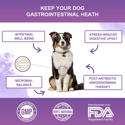 Probiotics for Dogs Powder, Duck Flavor - Supports Gut Health, Digestive Balance & Seasonal Allergy Relief & Itchy Skin Relief - Prebiotic & Probiotic Powder (90g) (Duck)