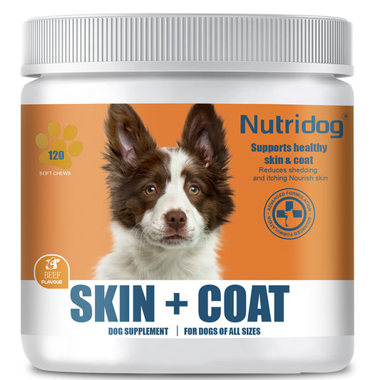 Nutridog Omega Skin & Coat Soft Chew Dog Supplements