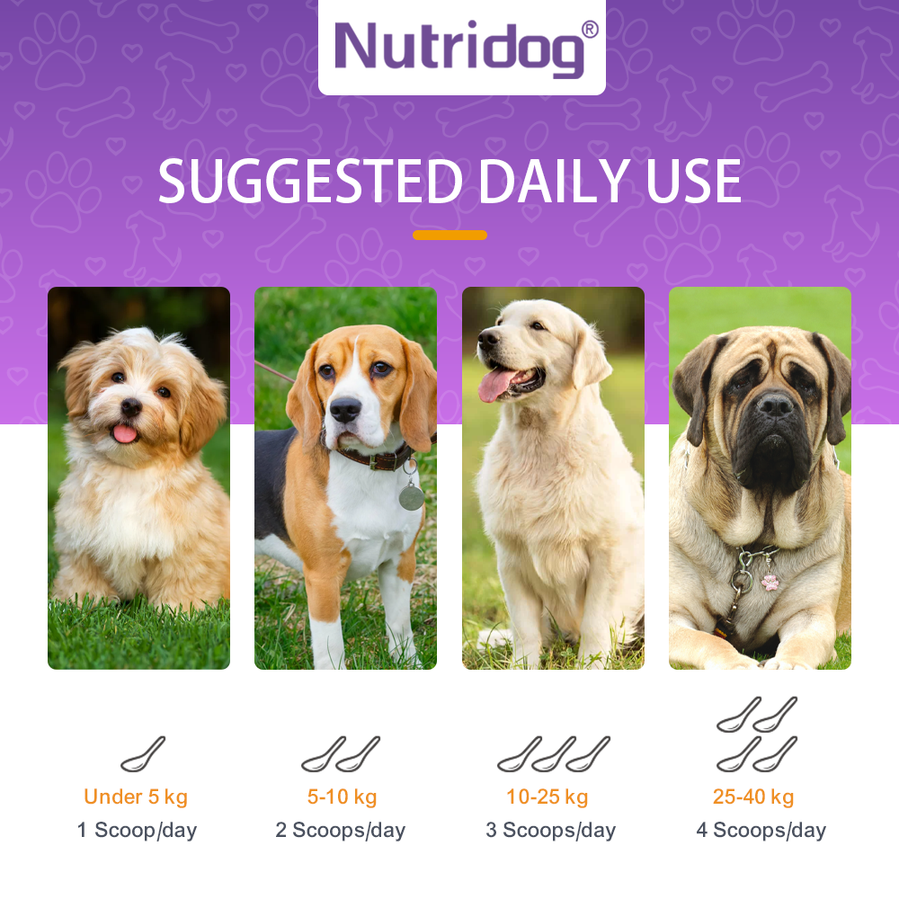 Probiotics for Dogs Powder, Duck Flavor - Supports Gut Health, Digestive Balance & Seasonal Allergy Relief & Itchy Skin Relief - Prebiotic & Probiotic Powder (90g) (Duck)