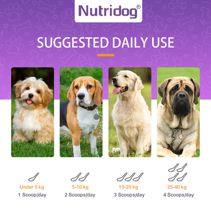 Probiotics for Dogs Powder, Duck Flavor - Supports Gut Health, Digestive Balance & Seasonal Allergy Relief & Itchy Skin Relief - Prebiotic & Probiotic Powder (90g) (Duck)