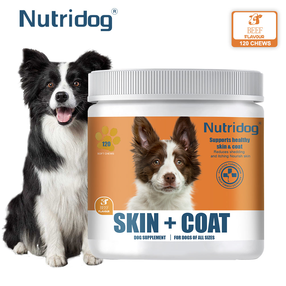 Nutridog Omega Skin & Coat Soft Chew Dog Supplements