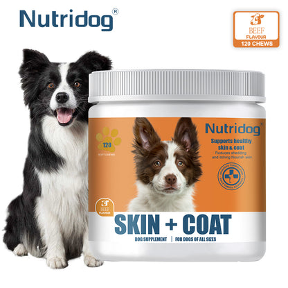 Nutridog Omega Skin & Coat Soft Chew Dog Supplements