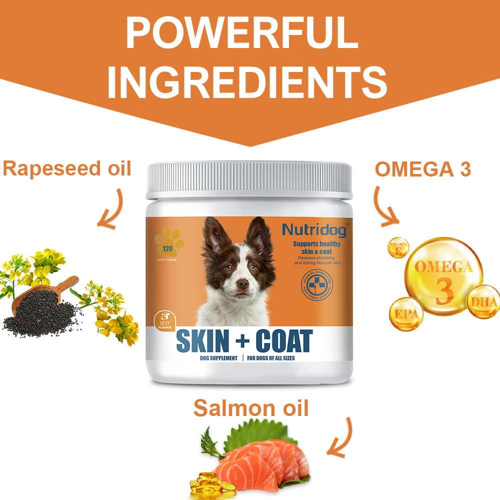 Nutridog Omega Skin & Coat Soft Chew Dog Supplements