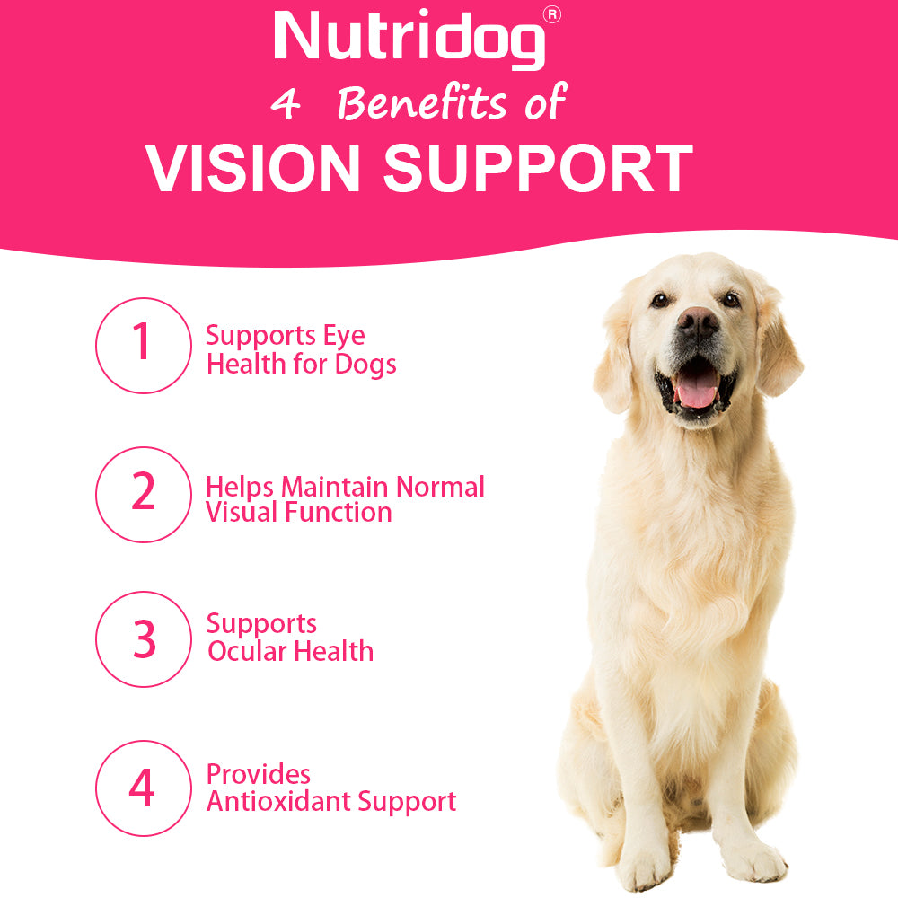 Nutridog Dog Eye Health Chews - 120 Salmon Flavor Soft Chews, Vision Support with Lutein & Bilberry, Antioxidant Protection for Puppies & Senior Dogs, Non-GMO Gluten-Free Human Grade