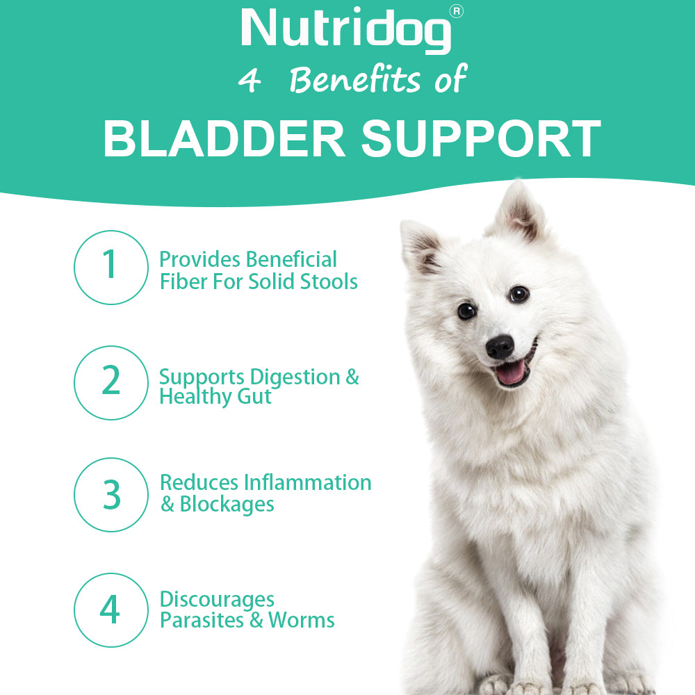 Nutridog Gland Support Chews for Dogs - Dog Bladder & Digestive Health Supplement with Pumpkin, Probiotics & Cranberry - Salmon Flavor Soft Chews to Support Anal Gland Function, Firm Stools & Gut Health (120 Chews)
