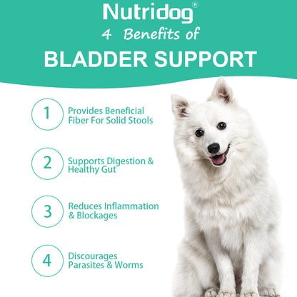 Nutridog Gland Support Chews for Dogs - Dog Bladder & Digestive Health Supplement with Pumpkin, Probiotics & Cranberry - Salmon Flavor Soft Chews to Support Anal Gland Function, Firm Stools & Gut Health (120 Chews)
