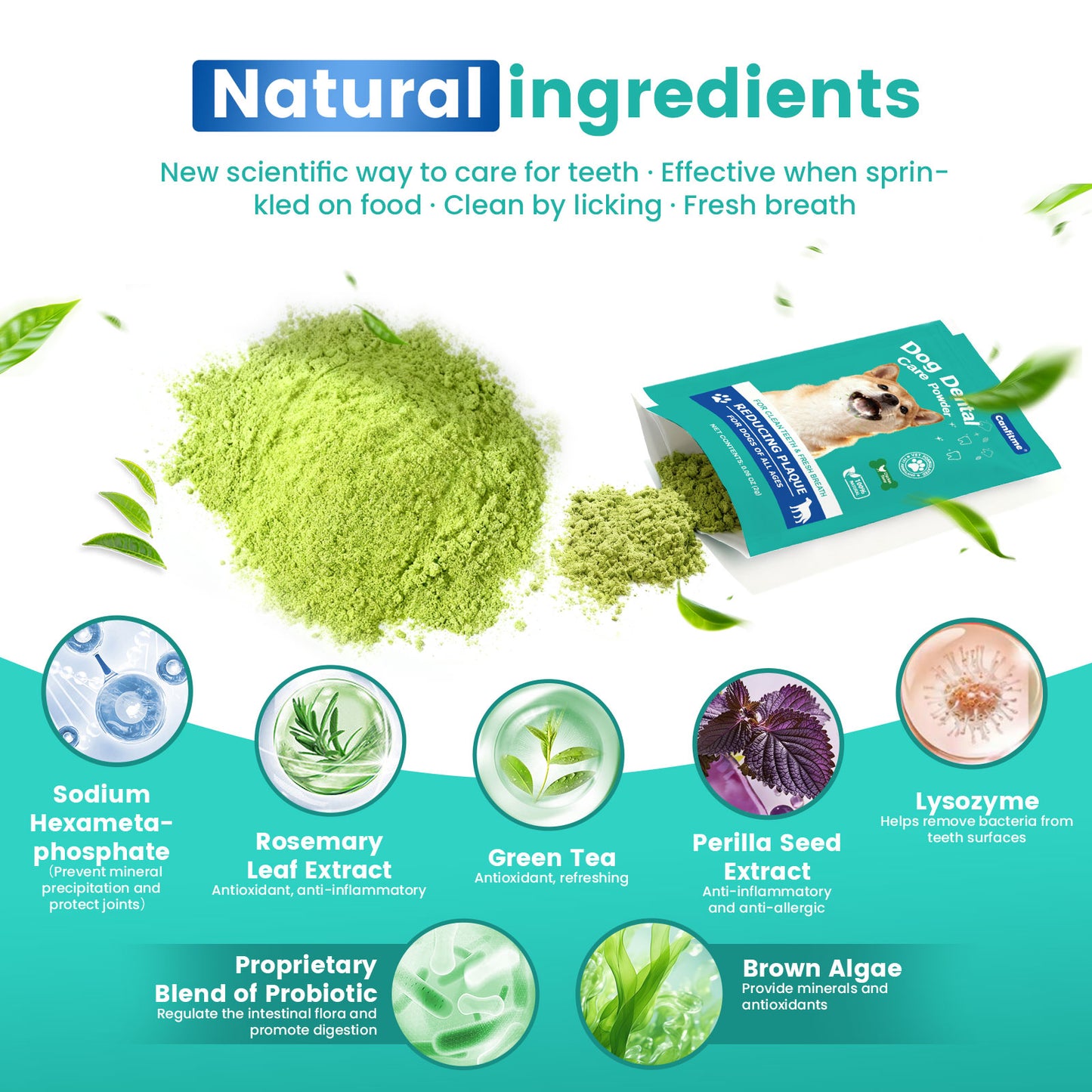 Dog Dental Powder for Teeth Cleaning, Dog Teeth Cleaning Powder for Dogs with Probiotic & Tartar Remover, Fresh Breath Support, No Brushing Oral Care, Chicken Flavor, 60ct