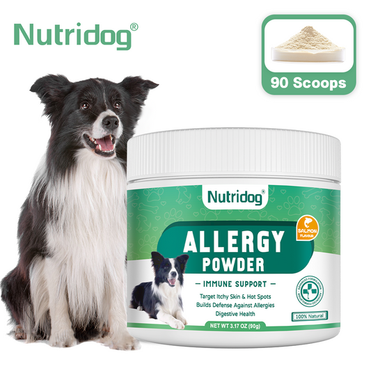 Allergy Powder for Dogs, 90g Salmon Flavor - Itch Relief & Immune Support with Probiotics, Quercetin & Salmon Oil | Vet-Approved Formula for Seasonal Allergies & Sensitive Skin (Salmon)