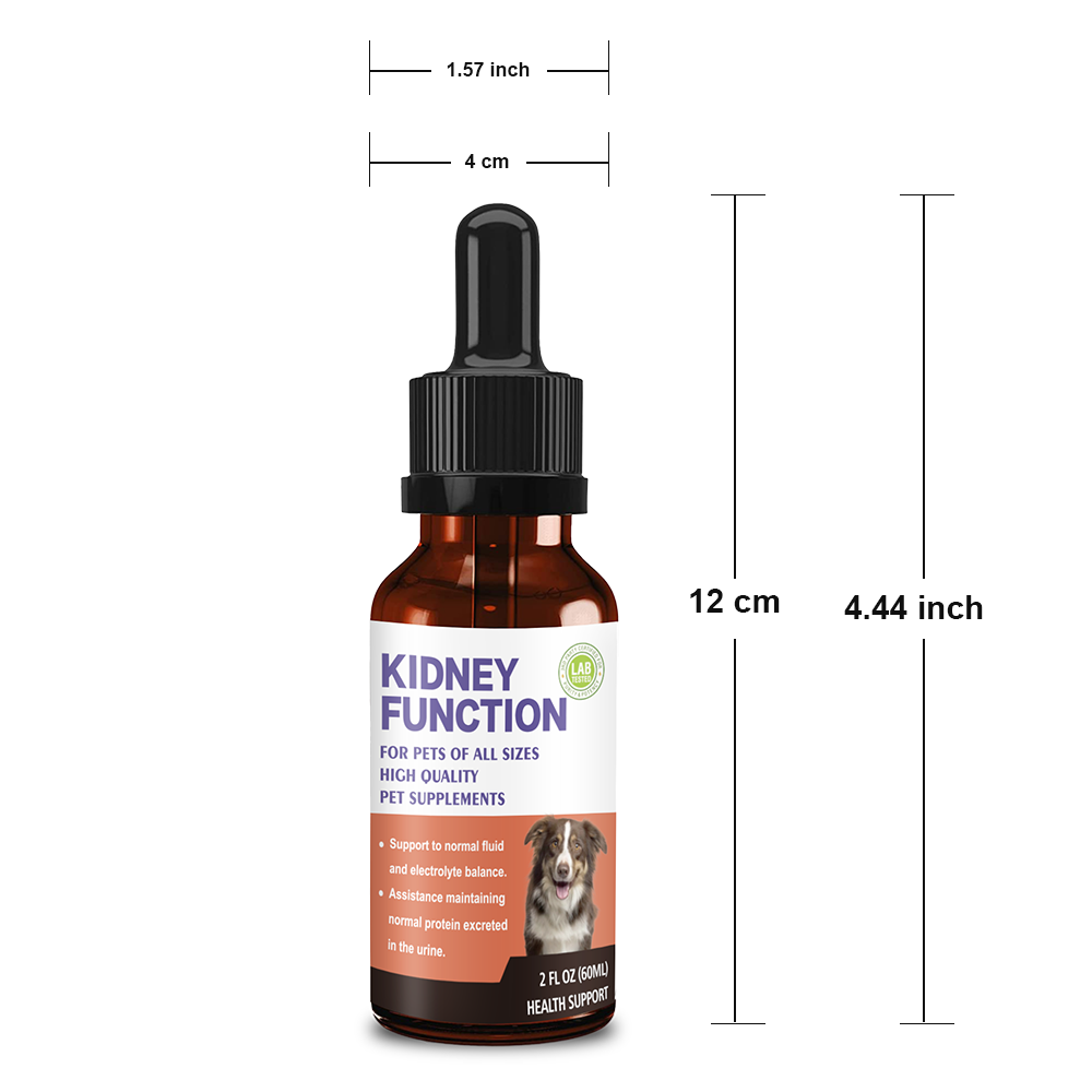 Pet Kidney Function Support Drops - Natural Kidney Health Supplement for Dogs & Cats of All Sizes, Supports Normal Fluid & Electrolyte Balance, Maintains Healthy Protein Excretion in Urine (2 FL OZ)