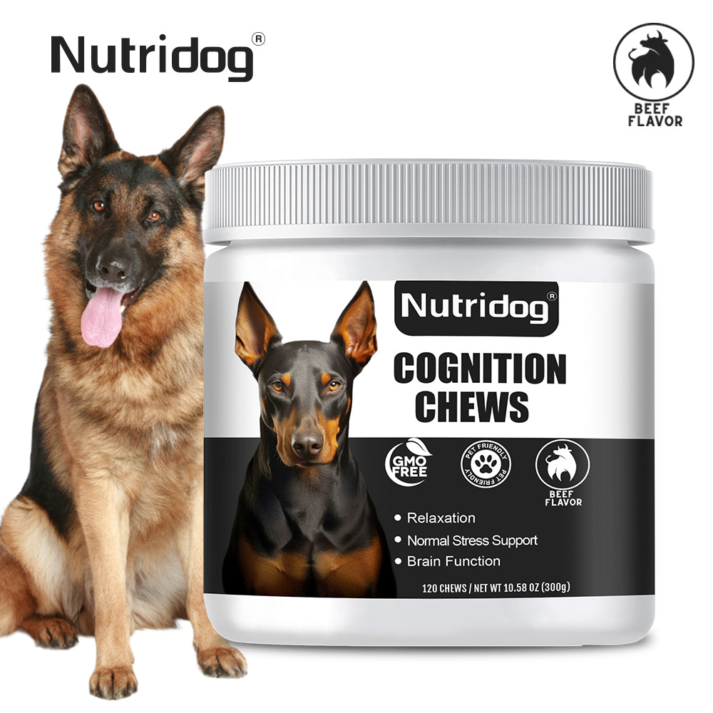 Nutridog Advanced Cognition Soft Chews For Dogs