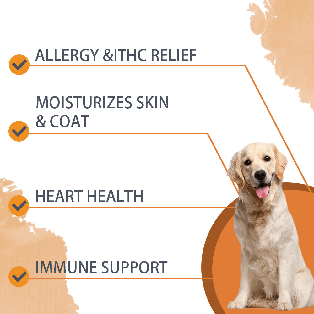 Nutridog Omega Skin & Coat Soft Chew Dog Supplements