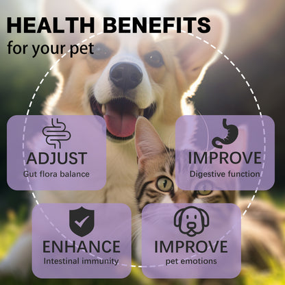 Probiotic Drops for Dogs and Cats, Salmon Flavor Pet Probiotics with Prebiotics & Digestive Enzymes, Supports Gut Health, Digestive Function & Immune System, Relieves Diarrhea & Constipation, Suitable for All Pets