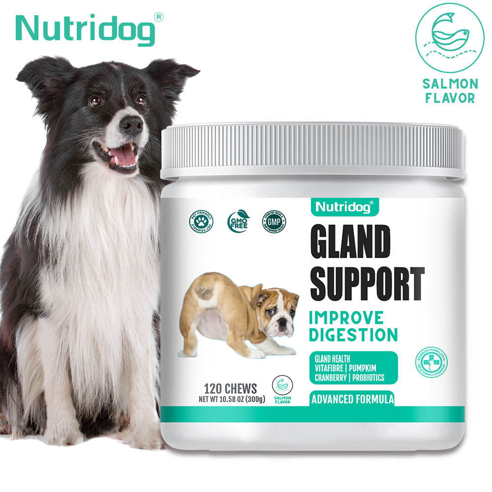 Nutridog Gland Support Chews for Dogs - Dog Bladder & Digestive Health Supplement with Pumpkin, Probiotics & Cranberry - Salmon Flavor Soft Chews to Support Anal Gland Function, Firm Stools & Gut Health (120 Chews)