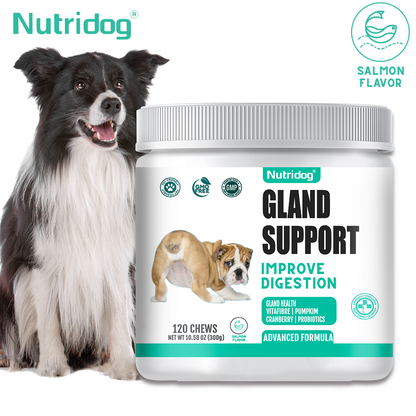 Nutridog Gland Support Chews for Dogs - Dog Bladder & Digestive Health Supplement with Pumpkin, Probiotics & Cranberry - Salmon Flavor Soft Chews to Support Anal Gland Function, Firm Stools & Gut Health (120 Chews)