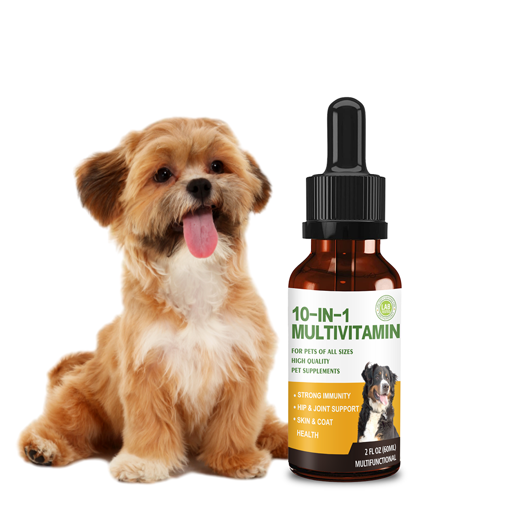 Dog Multivitamin Drops, 10 in 1 Multivitamin Liquid for Dogs with Vitamin C, Vitamin D & B-Complex, Dog Health Supplements for Skin & Coat Care, Joints & Hips, Gut & Immune Support