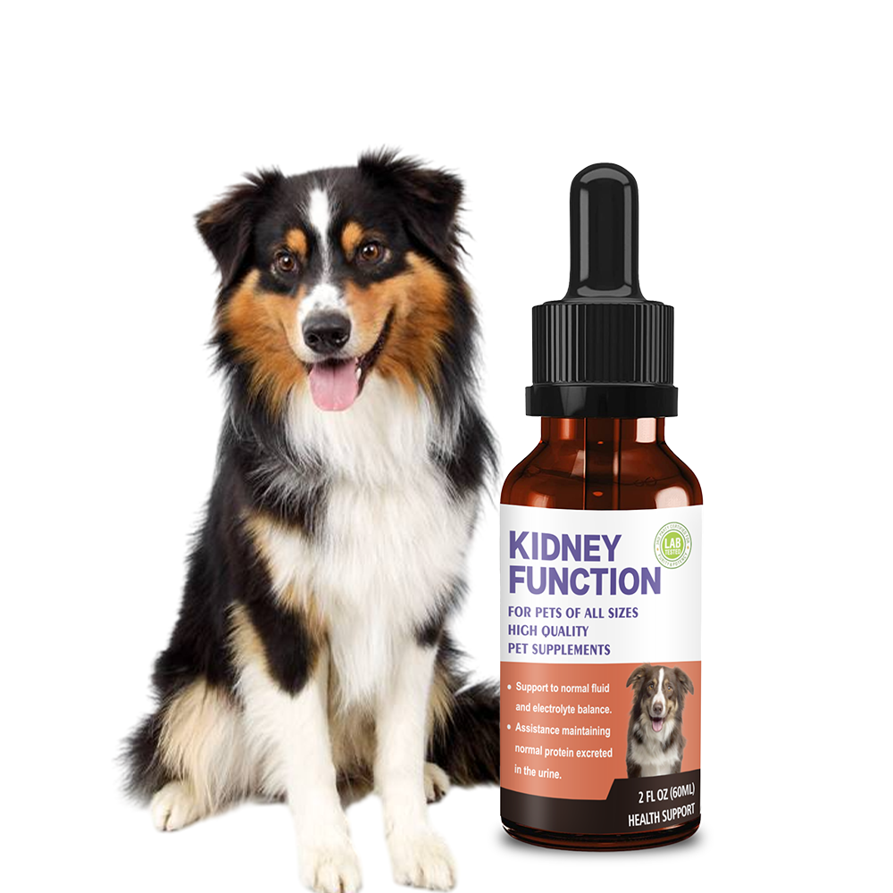 Pet Kidney Function Support Drops - Natural Kidney Health Supplement for Dogs & Cats of All Sizes, Supports Normal Fluid & Electrolyte Balance, Maintains Healthy Protein Excretion in Urine (2 FL OZ)