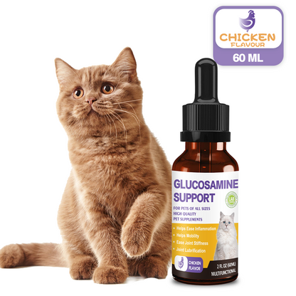 Glucosamine for Cats, Hip and Joint Support Supplement with MSM, Turmeric & Vitamin C - Chicken Flavor Liquid Joint Care Drops to Relieve Joint Pain, Reduce Inflammation & Improve Mobility, 2 FL OZ (60ML)