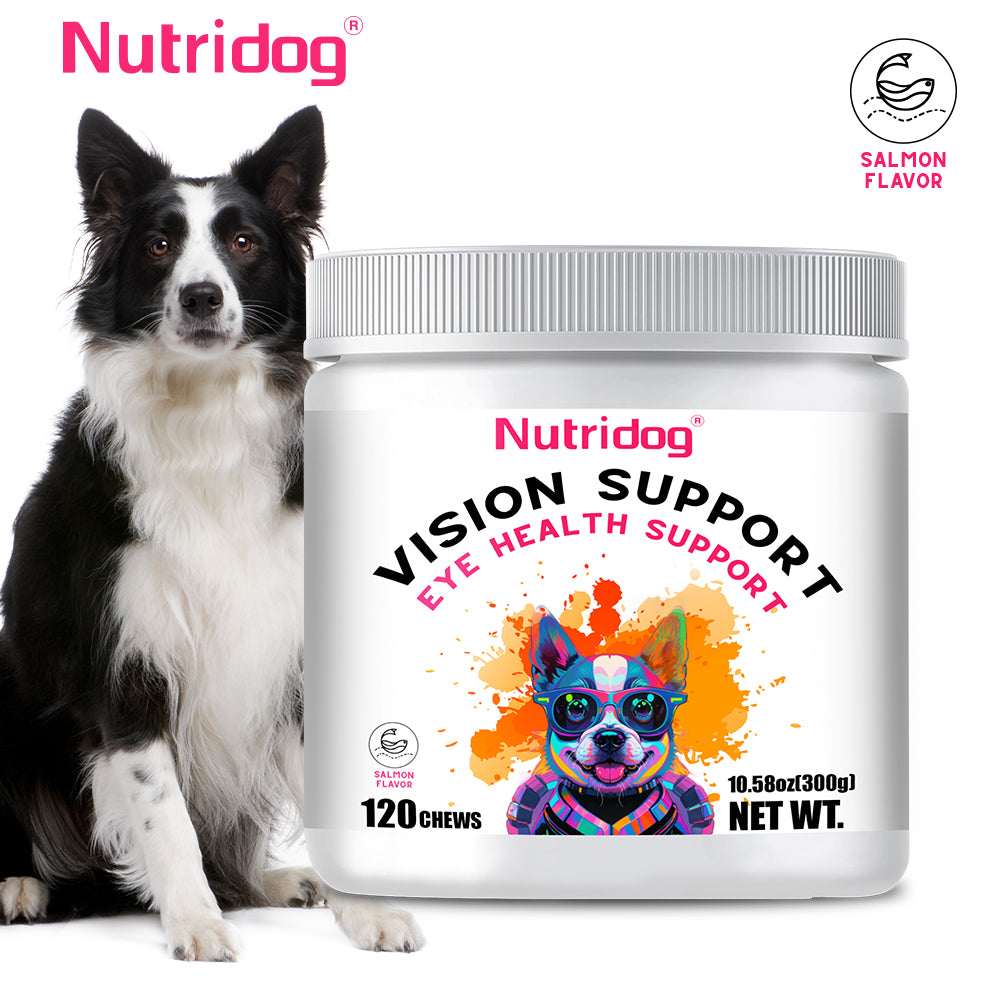 Nutridog Dog Eye Health Chews - 120 Salmon Flavor Soft Chews, Vision Support with Lutein & Bilberry, Antioxidant Protection for Puppies & Senior Dogs, Non-GMO Gluten-Free Human Grade