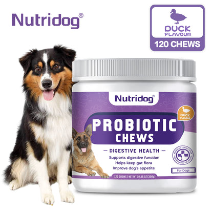 Nutridog Probiotic Chews for Dogs – Gut Health, Digestion & Immune Support | 300g / 120 Chews
