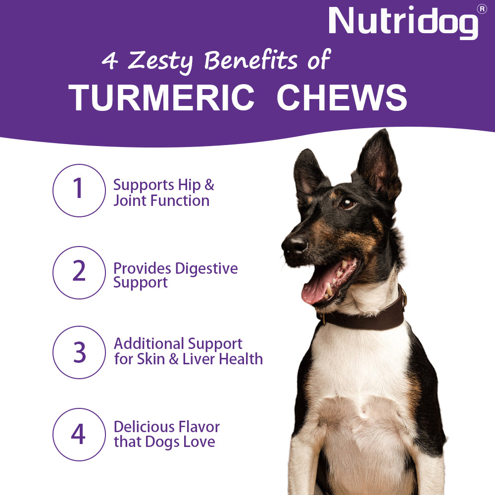 Nutridog Turmeric Chews for Dogs – Curcumin & Coconut Oil for Joint Pain & Allergy Relief | 120 Soft Chews