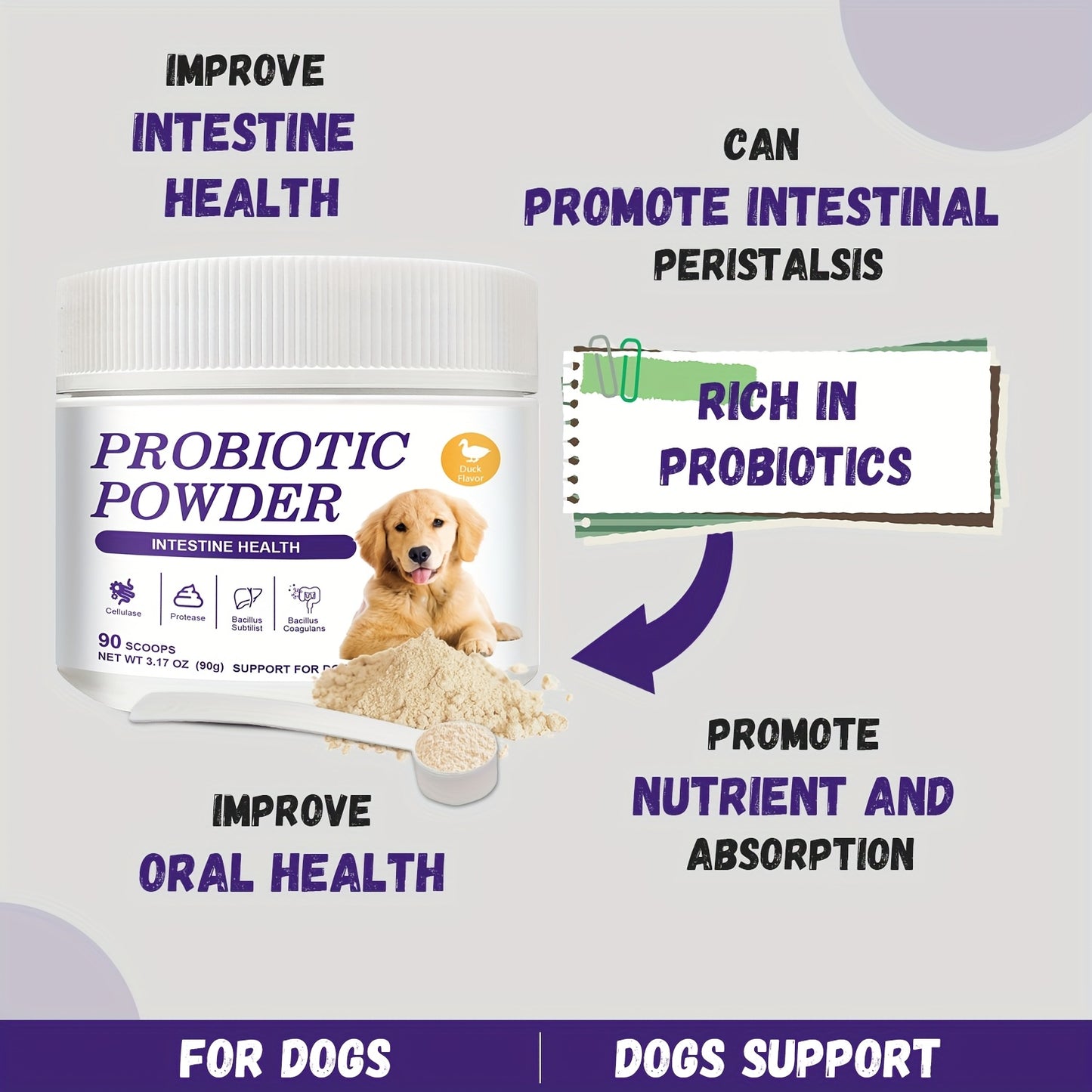Nutridog Probiotic Powder for Dogs – Vet-Formulated Gut & Digestive Support | 90g / 90 Scoops