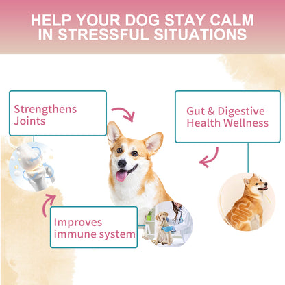 Nutridog Multivitamin 30 Chews