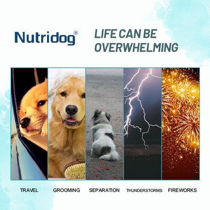 Nutridog Calming Ches For Dog