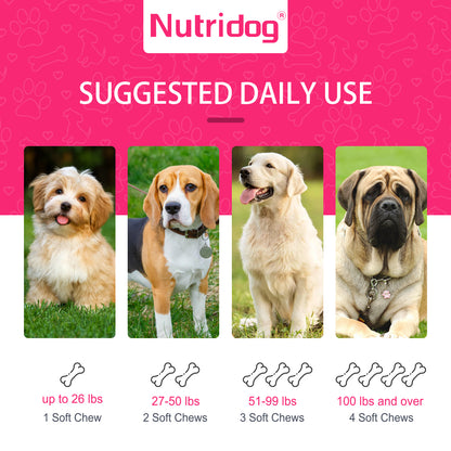 Nutridog Dog Eye Health Chews - 120 Salmon Flavor Soft Chews, Vision Support with Lutein & Bilberry, Antioxidant Protection for Puppies & Senior Dogs, Non-GMO Gluten-Free Human Grade