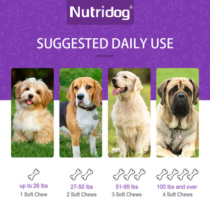 Nutridog Turmeric Chews for Dogs – Curcumin & Coconut Oil for Joint Pain & Allergy Relief | 120 Soft Chews