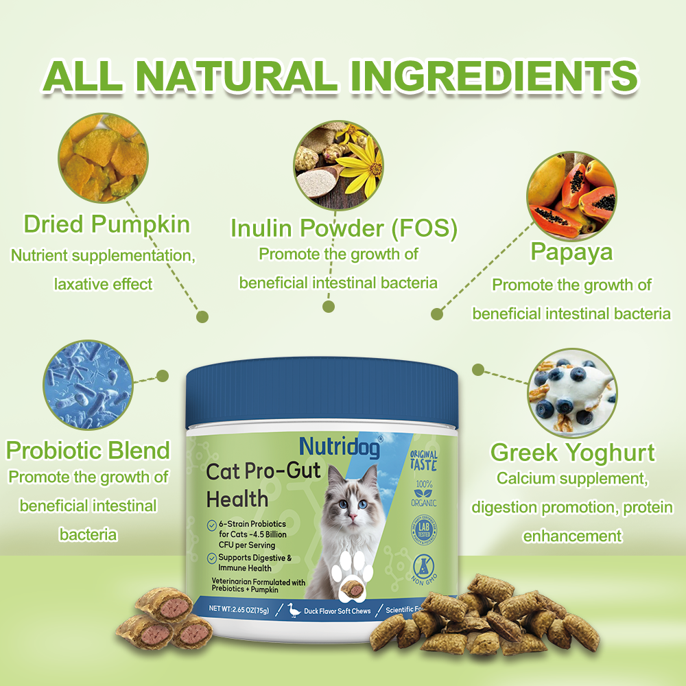 Nutridog Cat Probiotic for Digestive & Gut Health - 150 Dual Texture Crunchy & Creamy Bites - Relief for Constipation, Diarrhea & Sensitive Stomach with Prebiotics & Taurine for Kittens & Seniors
