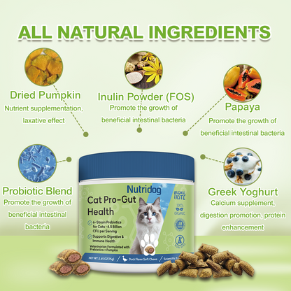 Nutridog Cat Probiotic for Digestive & Gut Health - 150 Dual Texture Crunchy & Creamy Bites - Relief for Constipation, Diarrhea & Sensitive Stomach with Prebiotics & Taurine for Kittens & Seniors