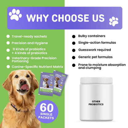 Nutridog Probiotic Powder for Dogs – 11-Strain Gut, Skin & Immune Support | 60 Single-Serve Packets