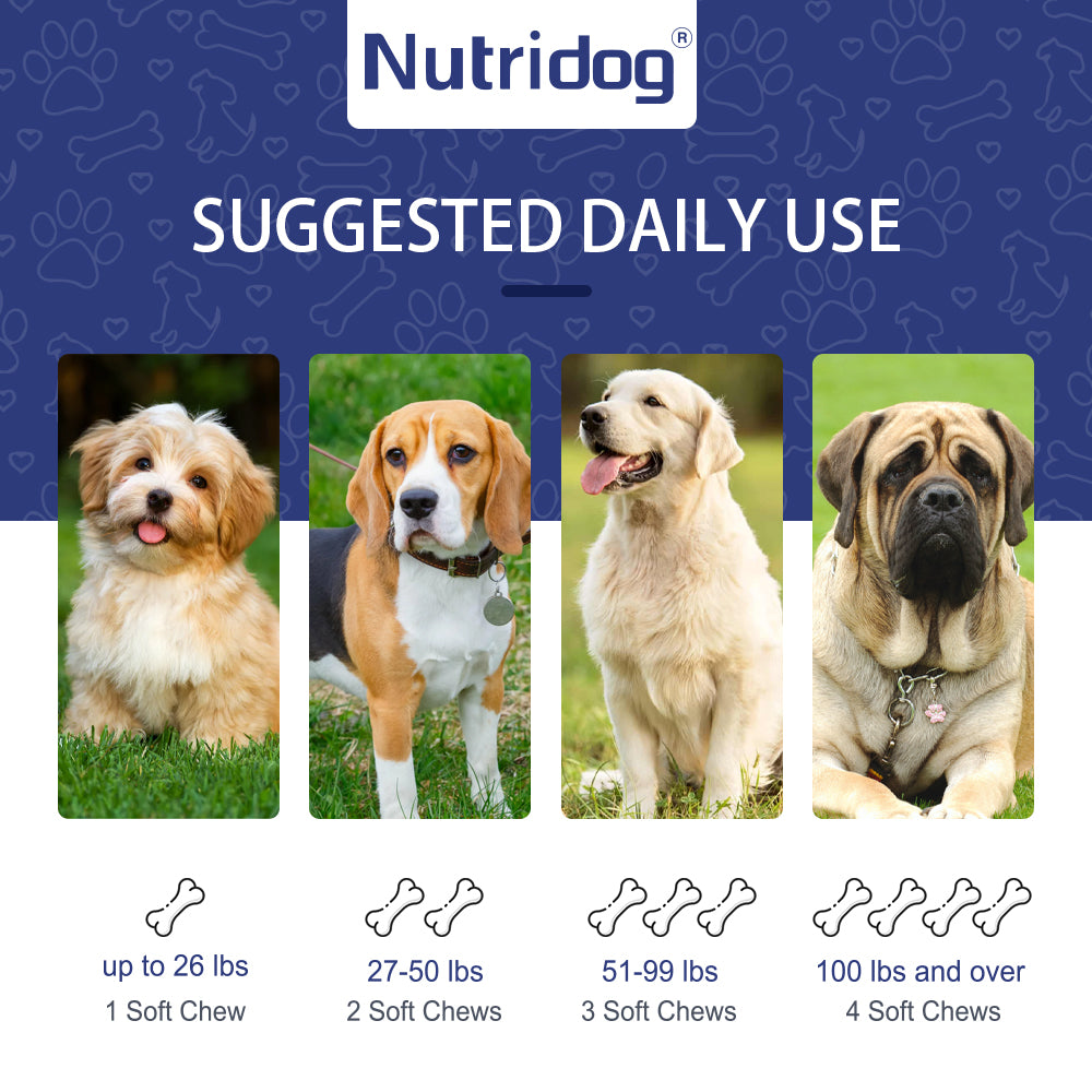 Nutridog Liver And Kidney Support For Dogs