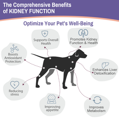 Pet Kidney Function Support Drops - Natural Kidney Health Supplement for Dogs & Cats of All Sizes, Supports Normal Fluid & Electrolyte Balance, Maintains Healthy Protein Excretion in Urine (2 FL OZ)